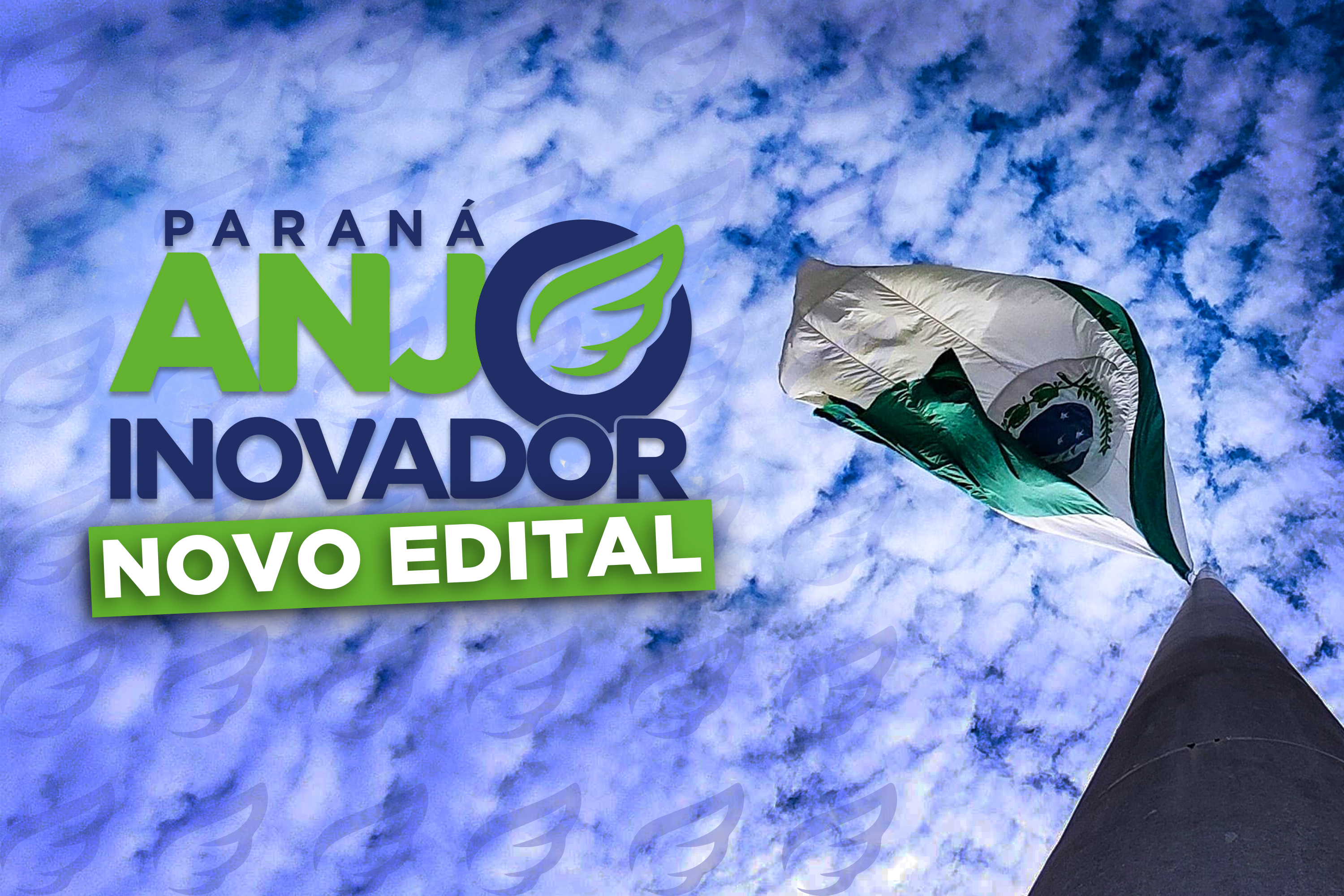 paranaanjoinovador2_2.jpg