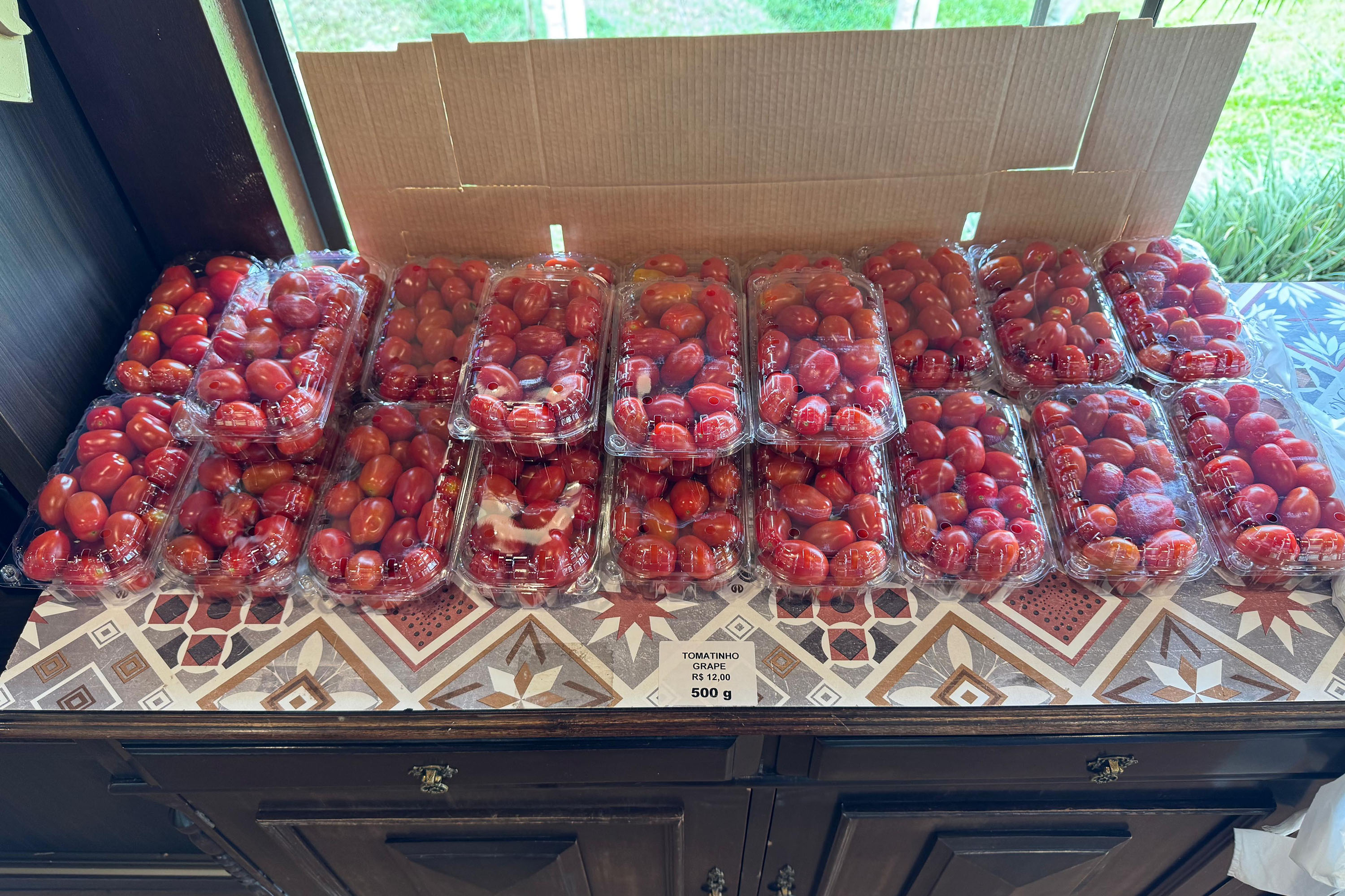 Com auxílio do Tecpar, Paraná terá nova tecnologia europeia para sistemas agrícolas