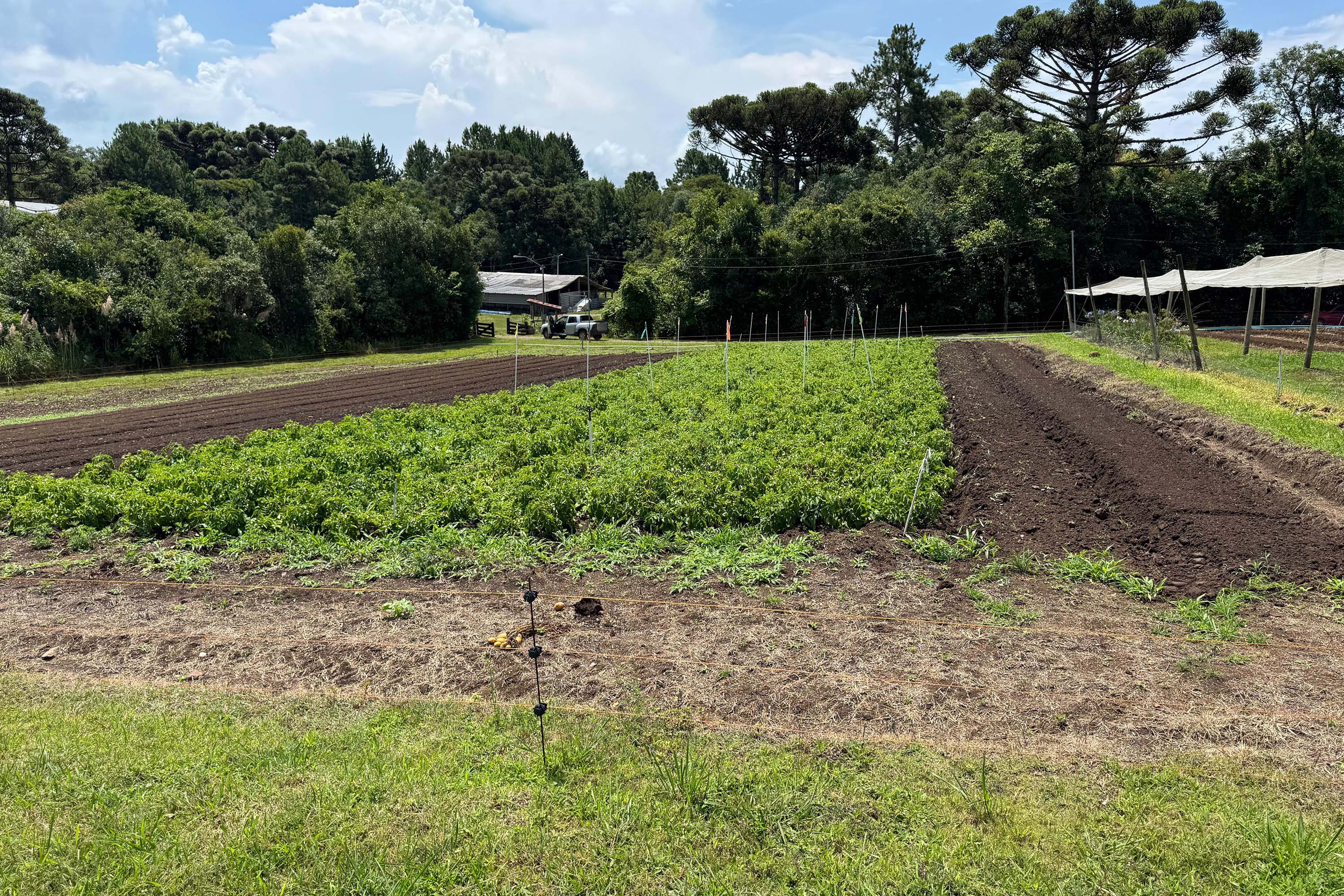 Com auxílio do Tecpar, Paraná terá nova tecnologia europeia para sistemas agrícolas