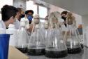 Consulta pública da Política de Ciência, Tecnologia e Inovação recebeu 414 contribuições. Foto: SETI