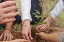 Apoio do Estado: startup de Maringá cria plataforma para compensação da pegada de carbono. Foto: IAT