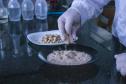 Apoiada pelo Estado, startup paranaense transforma fungos em “carne”. Foto: SEI-PR