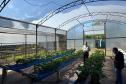 Com auxílio do Tecpar, Paraná terá nova tecnologia europeia para sistemas agrícolas