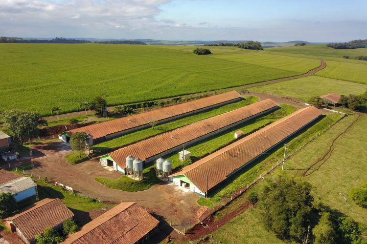 Com Descomplica, Paraná avança na desburocratização dos serviços públicos em diversas áreas.