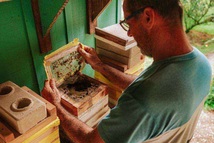 O produtor Erich de Barros Lange participou da capacitação realizada pelo Tecpar e já instalou caixas de abelhas na sua chácara em Morretes. Foto: Albori Ribeiro/Prefeitura de Morretes.