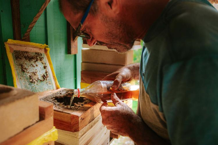 O produtor Erich de Barros Lange participou da capacitação realizada pelo Tecpar e já instalou caixas de abelhas na sua chácara em Morretes. Foto: Albori Ribeiro/Prefeitura de Morretes.
