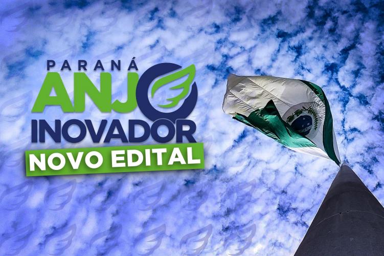 Anjo Inovador 2