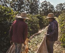 Com apoio do Estado, startup cria marketplace para conectar produtores artesanais e clientes. Foto: SEI