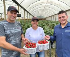 Incentivada pelo Estado, startup curitibana desenvolve sistema de irrigação para agricultura familiar.