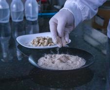 Apoiada pelo Estado, startup paranaense transforma fungos em “carne”. Foto: SEI-PR