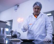 Apoiada pelo Estado, startup paranaense transforma fungos em “carne”. Foto: SEI-PR