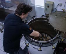 Apoiada pelo Estado, startup paranaense transforma fungos em “carne”. Foto: SEI-PR