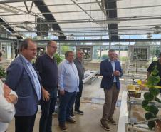 Governo do Paraná estreita relações com instituições de pesquisa e inovação agrícola dos EUA. Foto: SETI-PR