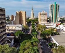 Prêmios e rankings de inovação: Paraná é destaque nacional e internacional em 2024