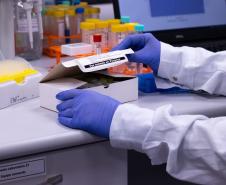 Com apoio do Estado, a startup curitibana Hyla Biotech criou um kit de diagnóstico rápido de câncer de mama dentro da Fundação Oswaldo Cruz (Fiocruz).