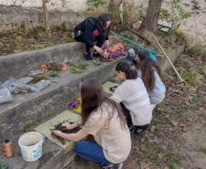 Clube de Ciências revitaliza escola e incentiva empreendedorismo em Colombo