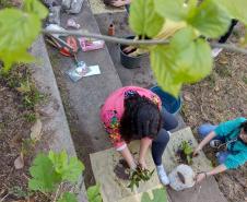 Clube de Ciências revitaliza escola e incentiva empreendedorismo em Colombo