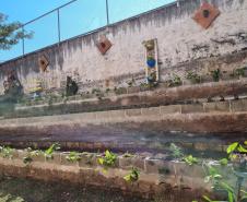 Clube de Ciências revitaliza escola e incentiva empreendedorismo em Colombo