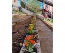 Clube de Ciências revitaliza escola e incentiva empreendedorismo em Colombo