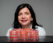 Cientista do Paraná, Mariangela Hungria recebe o Nobel da Agricultura