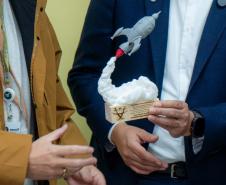 INOVAÇÃO: Alunos recebem premiação da Olimpíada Brasileira de Inovação, Ciência e Tecnologia