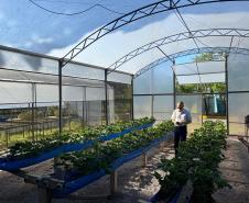 Com auxílio do Tecpar, Paraná terá nova tecnologia europeia para sistemas agrícolas
