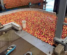 Com auxílio do Tecpar, Paraná terá nova tecnologia europeia para sistemas agrícolas
