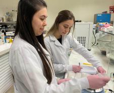 Paraná concorre a prêmio nacional com programa que integra universidades e mercado