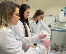 Paraná concorre a prêmio nacional com programa que integra universidades e mercado