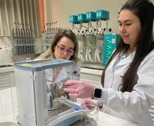 Paraná concorre a prêmio nacional com programa que integra universidades e mercado