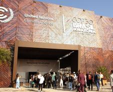 Quatro startups apoiadas pelo Governo do Estado apresentam projetos na COP30, em Belém