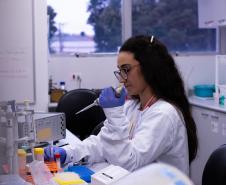 Com crescimento superior a 500% em sete anos, Paraná passa da marca de 2 mil startups