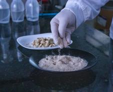 Startup apoiada pelo Paraná Anjo Inovador recebe R$ 2 milhões de aceleradora belga