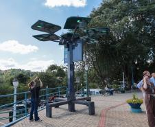 Conectividade e IA: startup cria “araucária digital” com apoio do Paraná Anjo Inovador