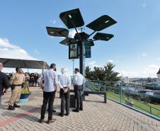 Conectividade e IA: startup cria “araucária digital” com apoio do Paraná Anjo Inovador