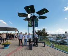 Conectividade e IA: startup cria “araucária digital” com apoio do Paraná Anjo Inovador