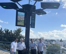 Conectividade e IA: startup cria “araucária digital” com apoio do Paraná Anjo Inovador