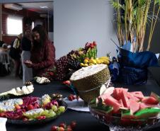 Sistema de Inteligência Artificial vai agilizar doações de alimentos da Ceasa Paraná