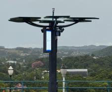 Conectividade e IA: startup cria “araucária digital” com apoio do Paraná Anjo Inovador