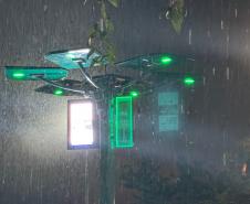 Conectividade e IA: startup cria “araucária digital” com apoio do Paraná Anjo Inovador