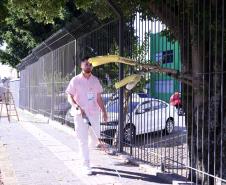 Foto Raphaella PiovezanSEIA