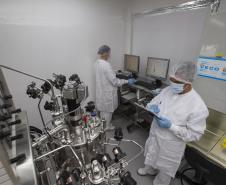 Foto: Hedeson Alves/TECPAR