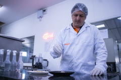 Apoiada pelo primeiro edital do Anjo Inovador, startup Typcal criou um ingrediente proteico e de baixo teor calórico voltado à alimentação humana.