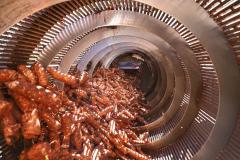 Com previsão de safra recorde, feira em Paranavaí traz novidades na área de mandioca