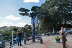 Conectividade e IA: startup cria “araucária digital” com apoio do Paraná Anjo Inovador