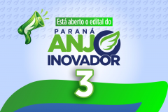 Anjo Inovador 3