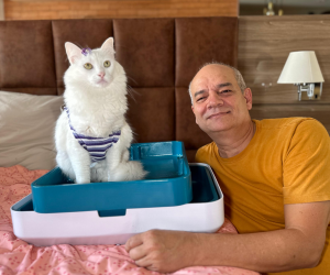 Selecionada no primeiro edital do Paraná Anjo Inovador, a startups Cattus, de Toledo, desenvolveu um banheiro sustentável mais confortável e higiênico para gatos.