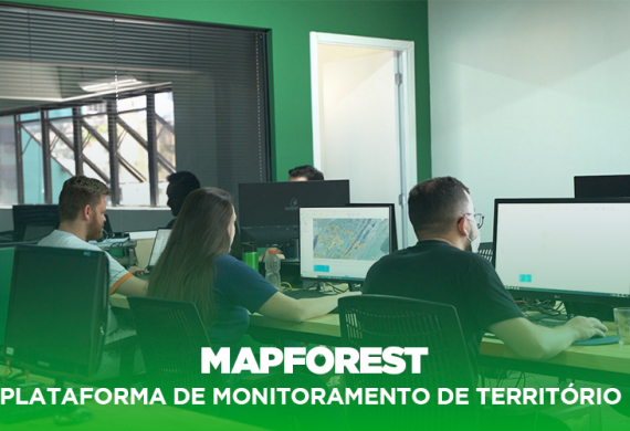 capa mapforest