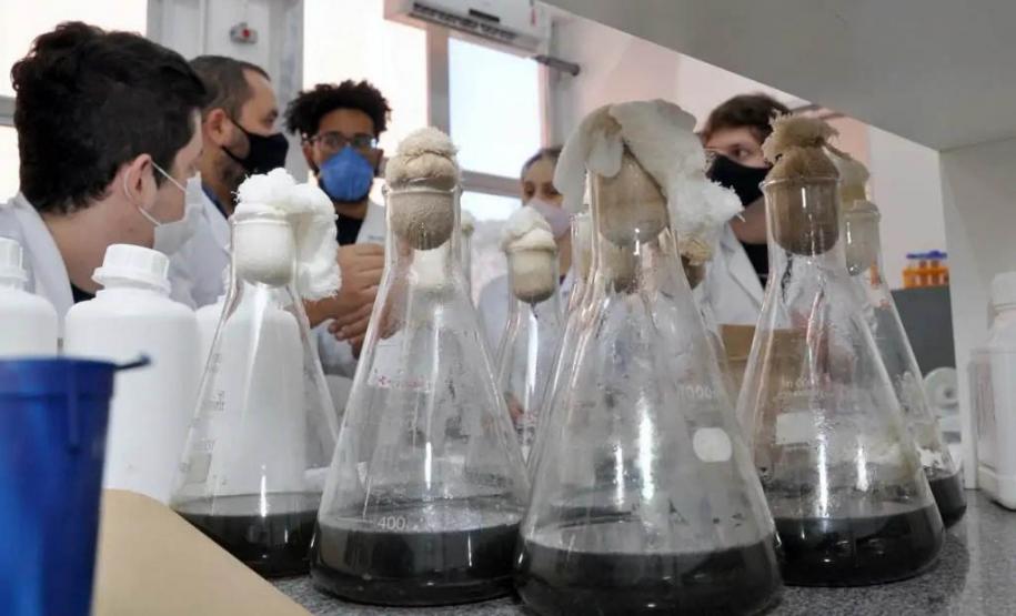 Consulta pública da Política de Ciência, Tecnologia e Inovação recebeu 414 contribuições. Foto: SETI