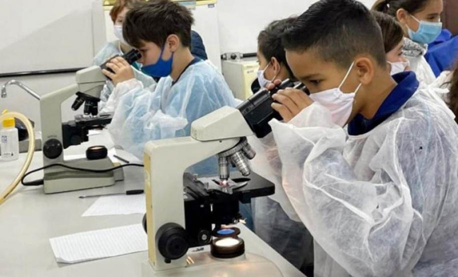 Consulta pública da Política de Ciência, Tecnologia e Inovação recebeu 414 contribuições. Foto: SETI